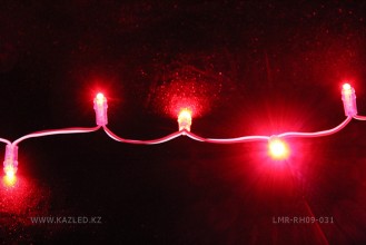 lmr-5