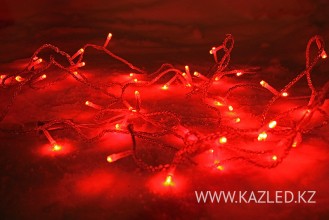 LED-SS-5M-50L-3
