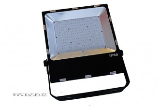 D-200W